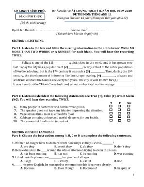 Đề khảo sát chất lượng học kỳ II môn Tiếng Anh Lớp 11 - Năm học 2019-2020 - Sở giáo dục và đào tạo Vĩnh Phúc